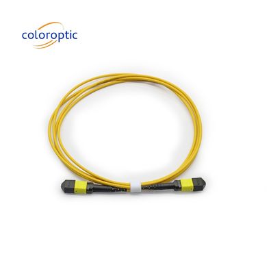 MTP APC câble optique féminin à féminin 10/40G SM 3M PVC / LSZH