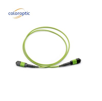 Connecteur MTP à câble de patch en mode unique G652D / G657A1 / G657A2 Fibre