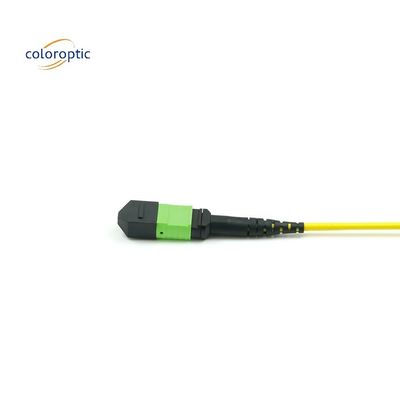 1m Multi fibre pousse sur le câble de patch MPO avec veste en PVC couleur Aqua