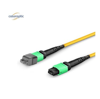 Cable optique MPO à mode unique de qualité fibre OM3 avec jaquette en PVC
