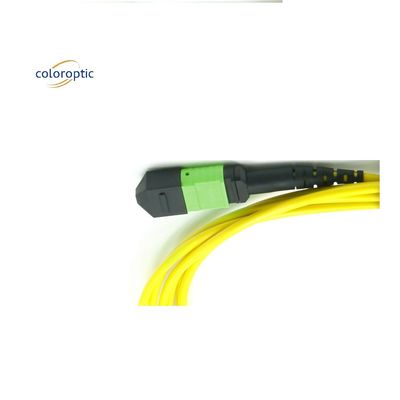 OM3 MPO patch cord 12 connecteur à fibre optique aquatique pour une mise en réseau efficace