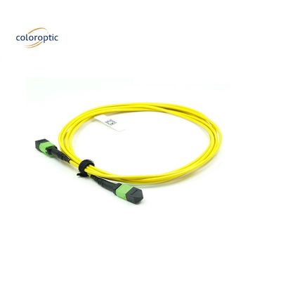 OM3 MPO patch cord 12 connecteur à fibre optique aquatique pour une mise en réseau efficace