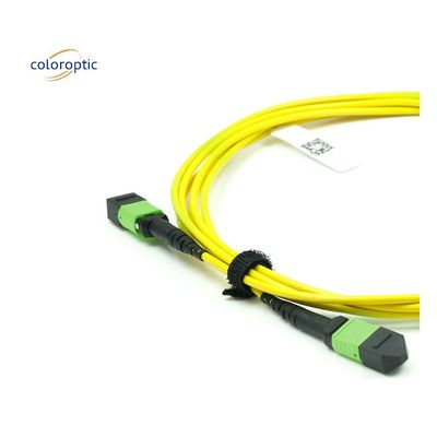 Cable optique MPO à mode unique de qualité fibre OM3 avec jaquette en PVC