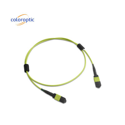 Multifibre MPO cordon de patch en PVC veste 12 noyau OM5 connecteur féminin à féminin PC polissage