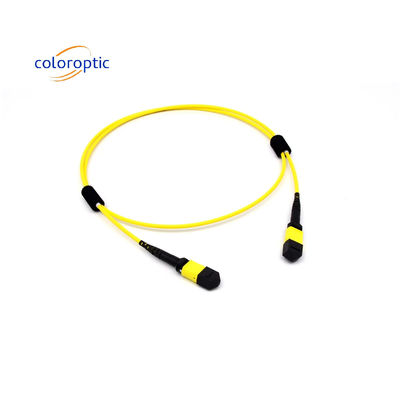 Mtp(Mpo) câble de patch mode unique 12 fibre de type B connecteur féminin à féminin