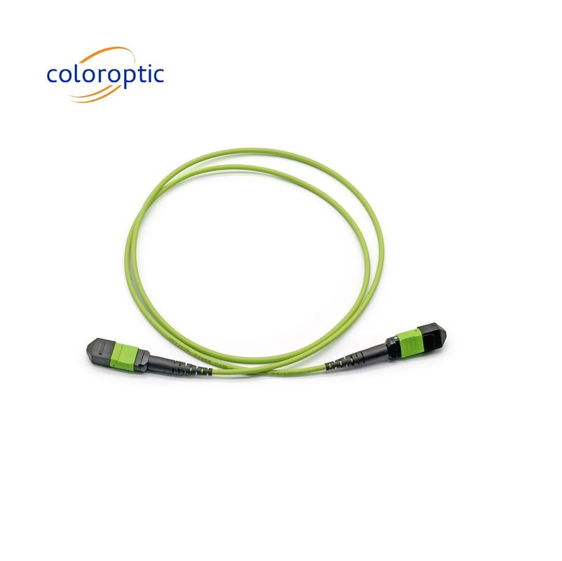 Connecteur MTP à câble de patch en mode unique G652D / G657A1 / G657A2 Fibre