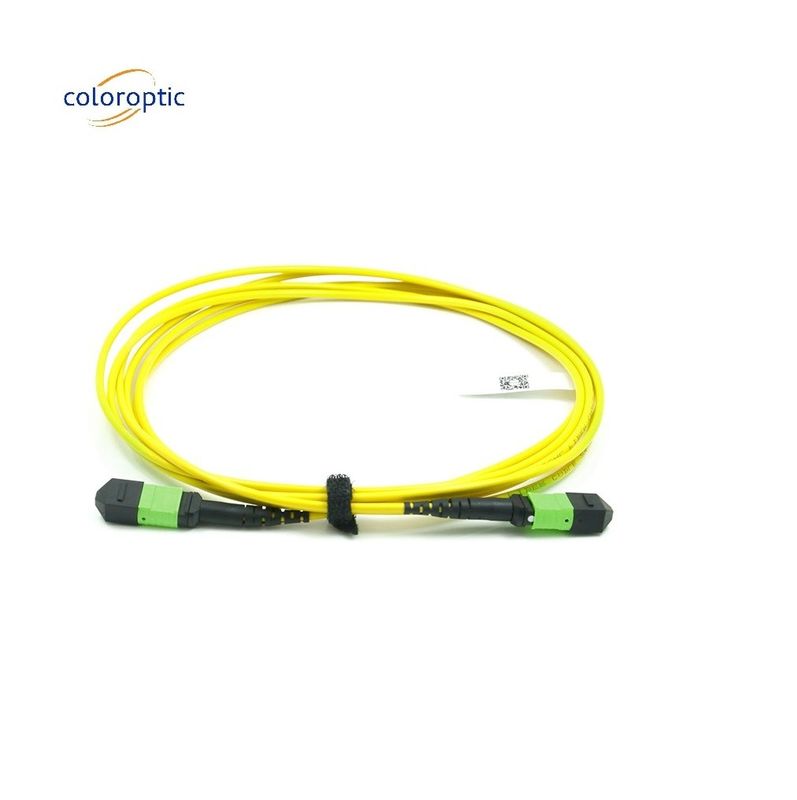 Le câble de patch à mode unique optique passif MPO-12 / APC-à-MPO12 / APC