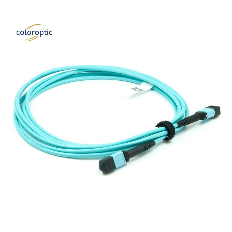 Matériau de la veste: câble de câble de patch avec connecteur MPO pour les réseaux de télécommunication