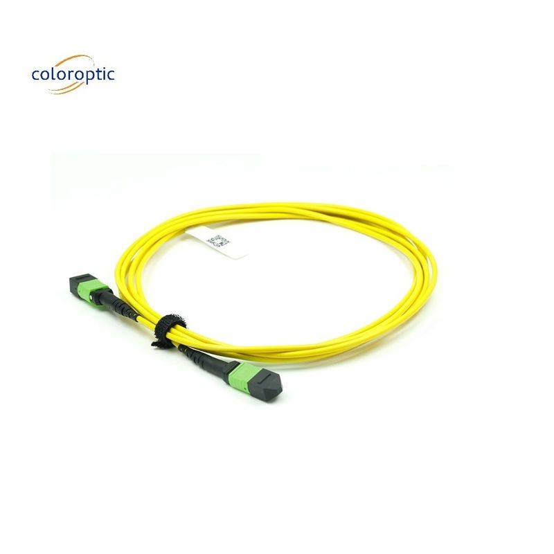 OM3 MPO patch cord 12 connecteur à fibre optique aquatique pour une mise en réseau efficace