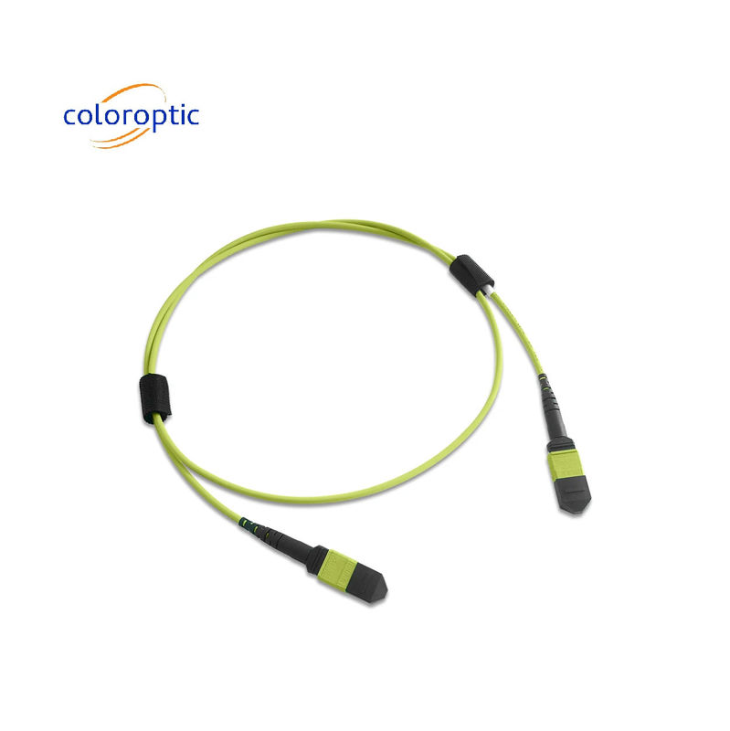 Multifibre MPO cordon de patch en PVC veste 12 noyau OM5 connecteur féminin à féminin PC polissage