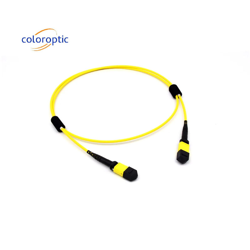 Mtp(Mpo) câble de patch mode unique 12 fibre de type B connecteur féminin à féminin
